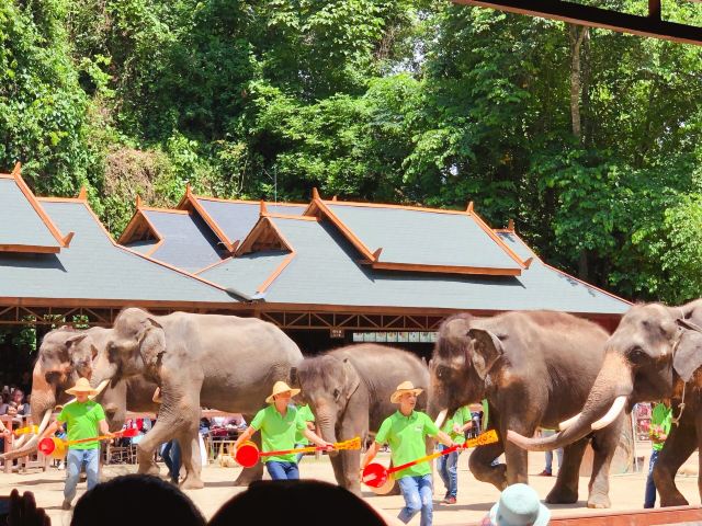 1618984063164656.jpg 4.jpg