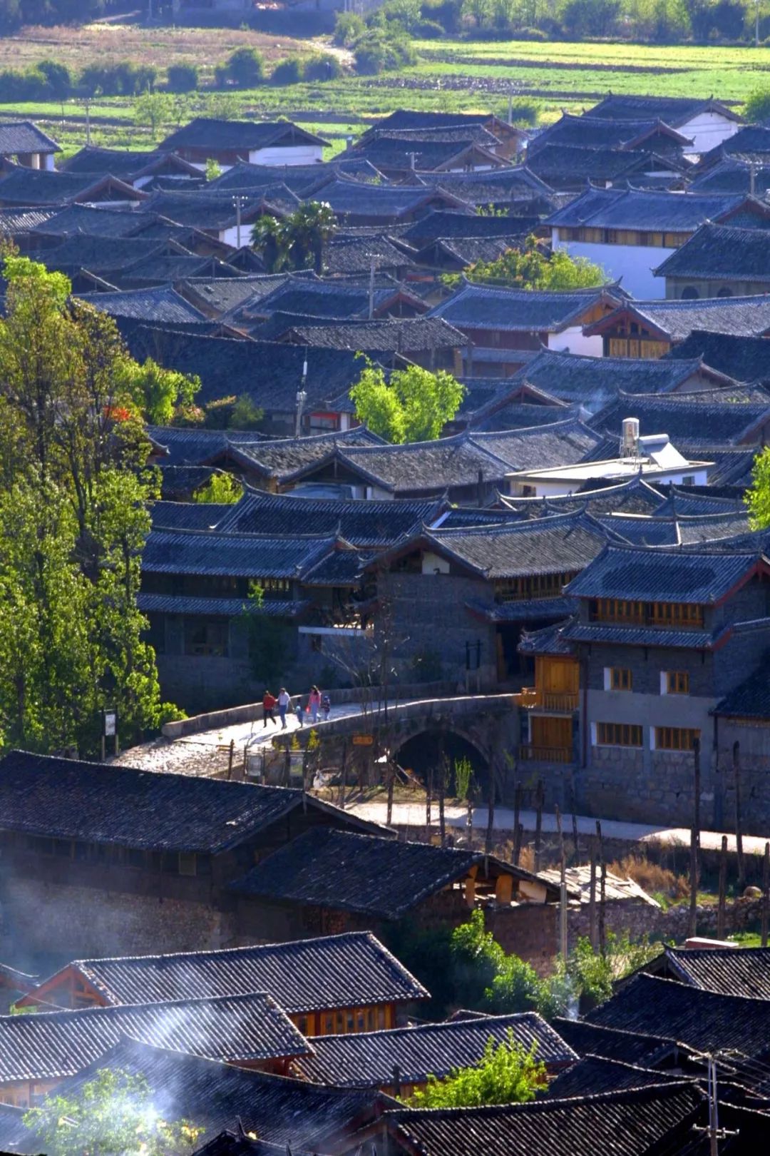 1619517006901282.jpg 2c88fbdbd6c28e68337fa728007562ca.jpg