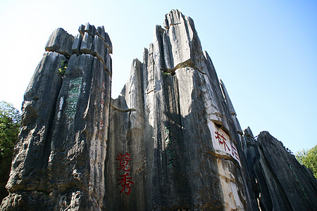 1619517796173685.jpg 19.jpg