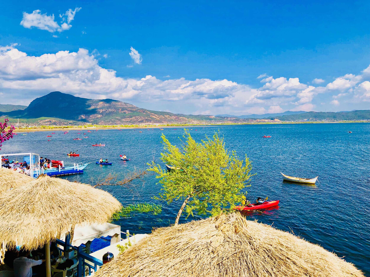 1620458014214341.jpg 14409761.jpg