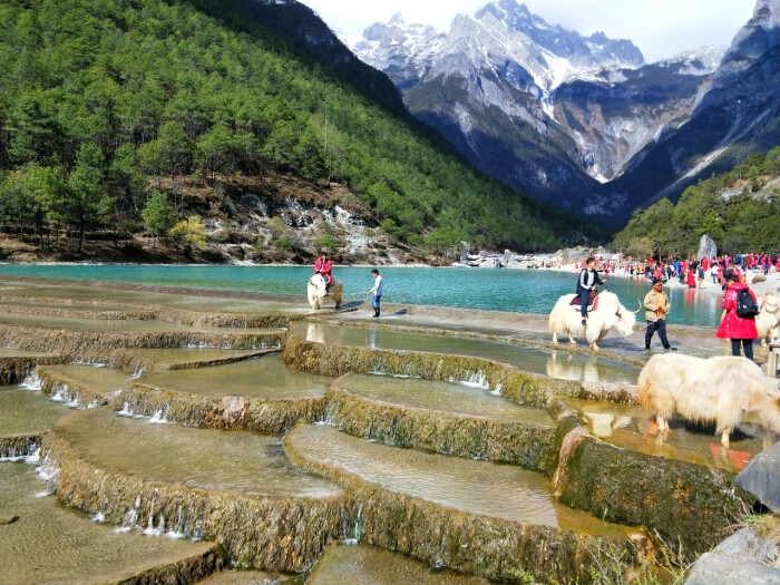 1620458278730144.jpg 6.jpg