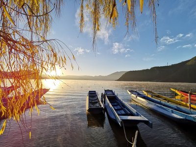 1620461486134264.jpg t0174fd93d75e839e78.jpg