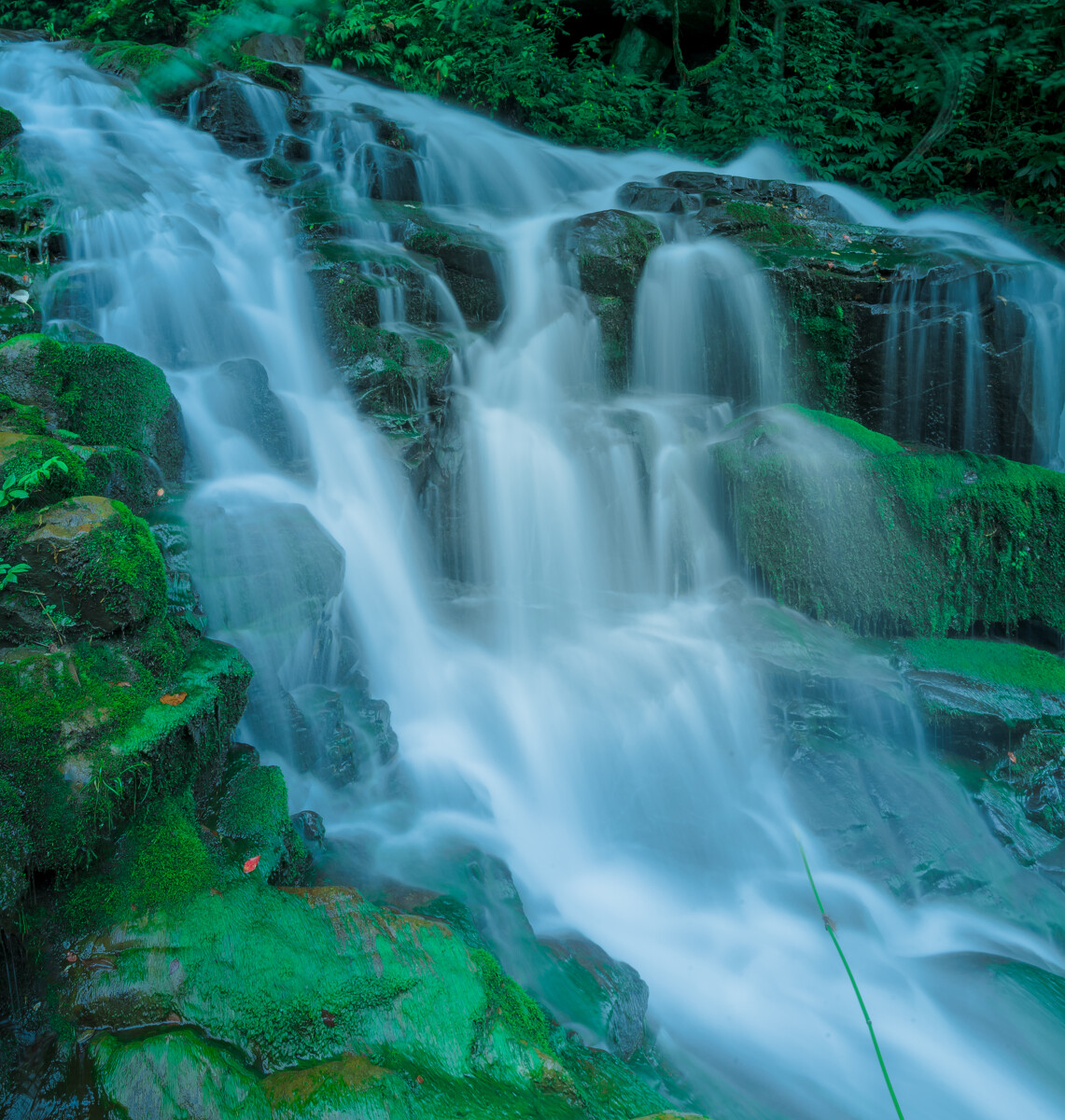 1620461848898597.jpg 32985138.jpg