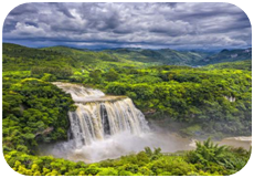 1620702086265164.png image.png