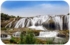 1620702099795504.png image.png