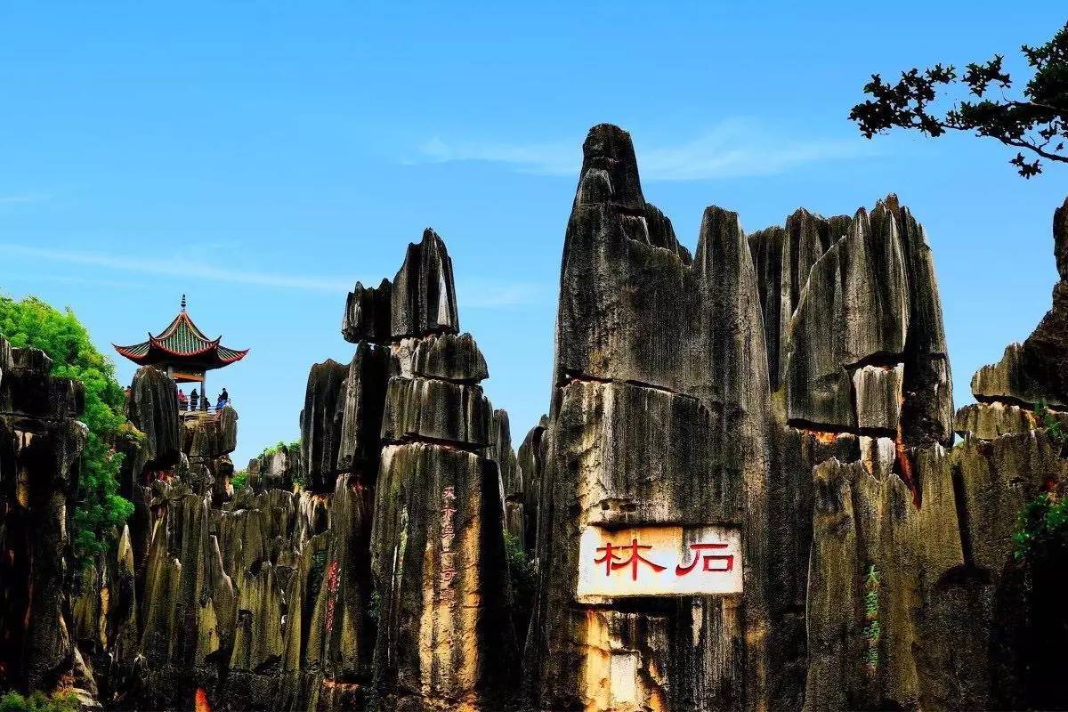 1620705230785858.jpg 10.jpg