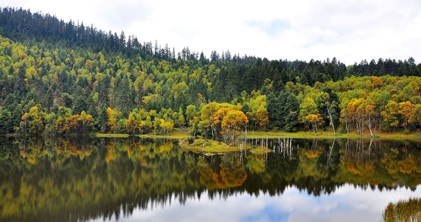 1620727179748515.jpg 5.jpg