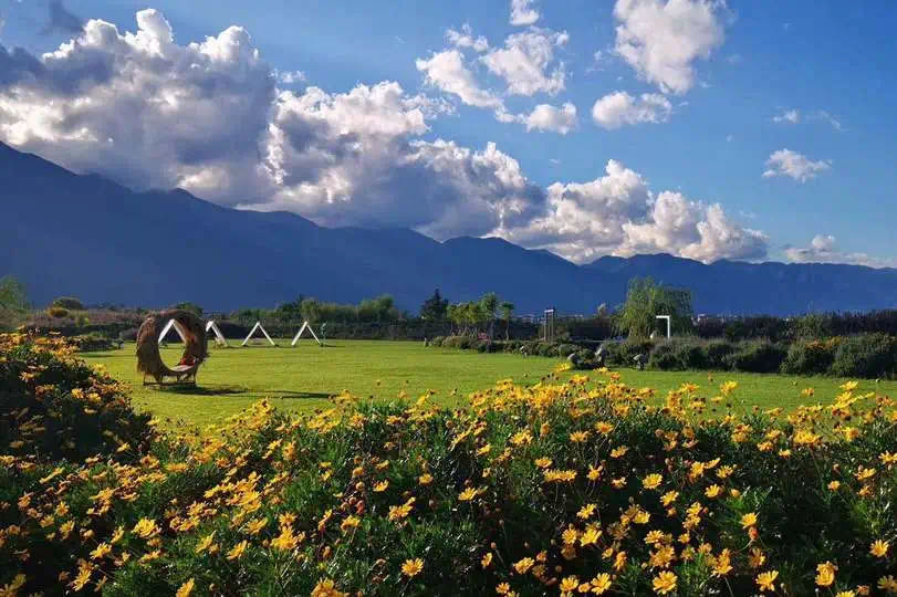 1620803962364427.jpg 95.jpg