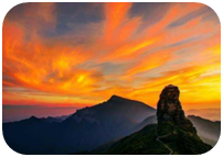 1620877646371207.png image.png