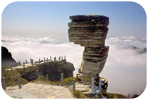 1620877654592431.png image.png