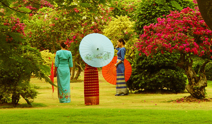 1621491741407733.jpg 热带花卉园.jpg