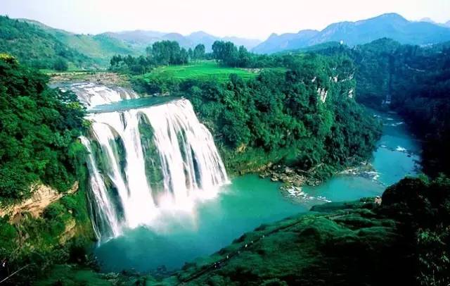 1621566699676776.jpg 黄果树2.jpg