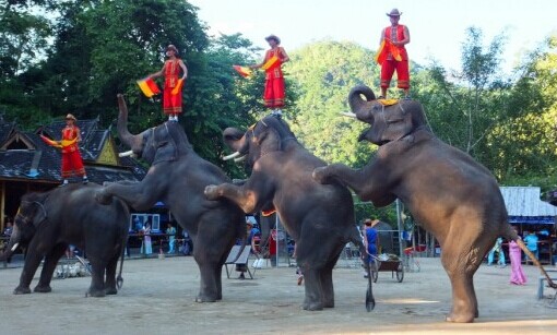 1622343302694510.jpg 微信图片_20200522155312.jpg