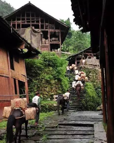 1627268044781615.png 130b067d3e78481bb48a446054805754_th.png