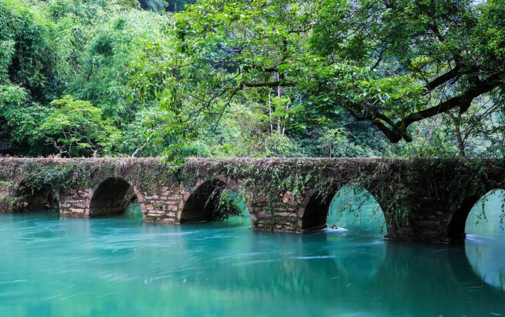 1630569966672685.png e55fc97881b160d32680ccdebbb1b80.png