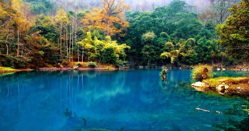 1630570022808511.png a61e95938de492b8b7cfcedde7619f5.png