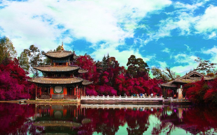 1638414498404683.png 1638414924(1).png