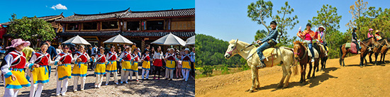 1638416561289897.png 拉市海.png