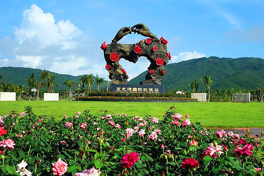 1639034444624522.jpg 玫瑰谷.jpg