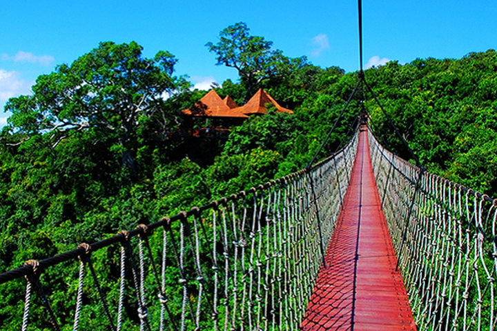 1639034460763703.jpg 森林.jpg