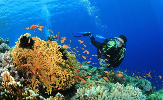 1639043992688543.png 55cf8c5bb60c6793722c30d720ca265.png