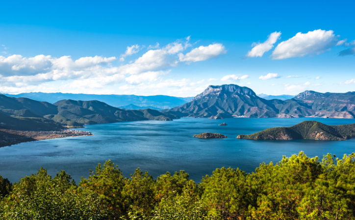 1644475376543479.png 1644475861(1).png