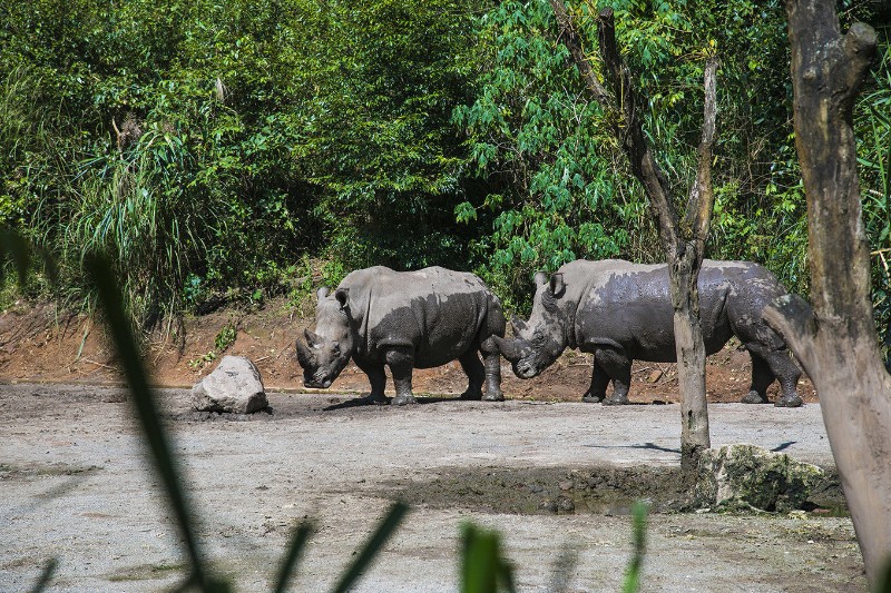 1646633862631979.jpg 犀牛坪.jpg