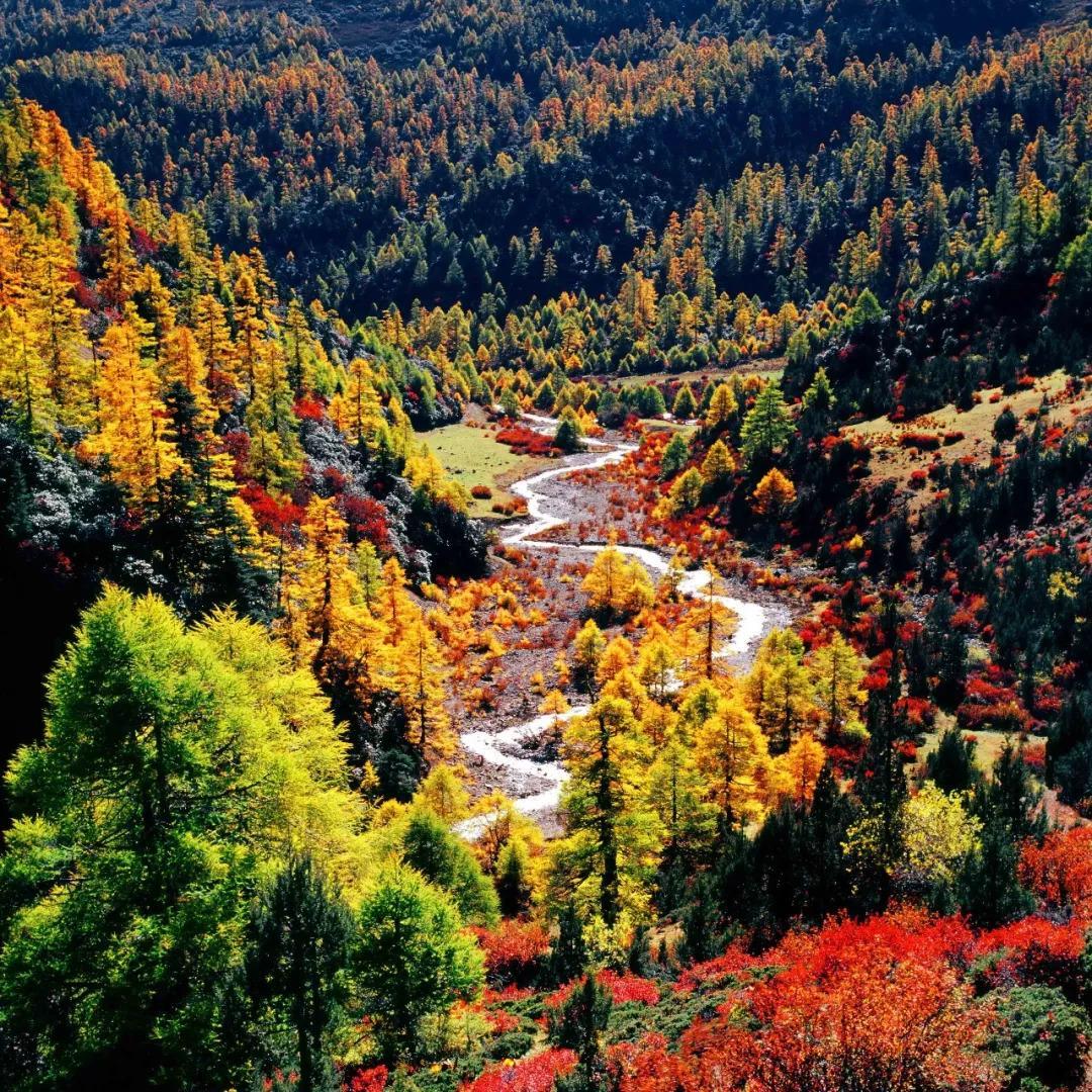 1647930951483297.jpg fb4ec7f5fcaef4205c490c29d1740ca.jpg