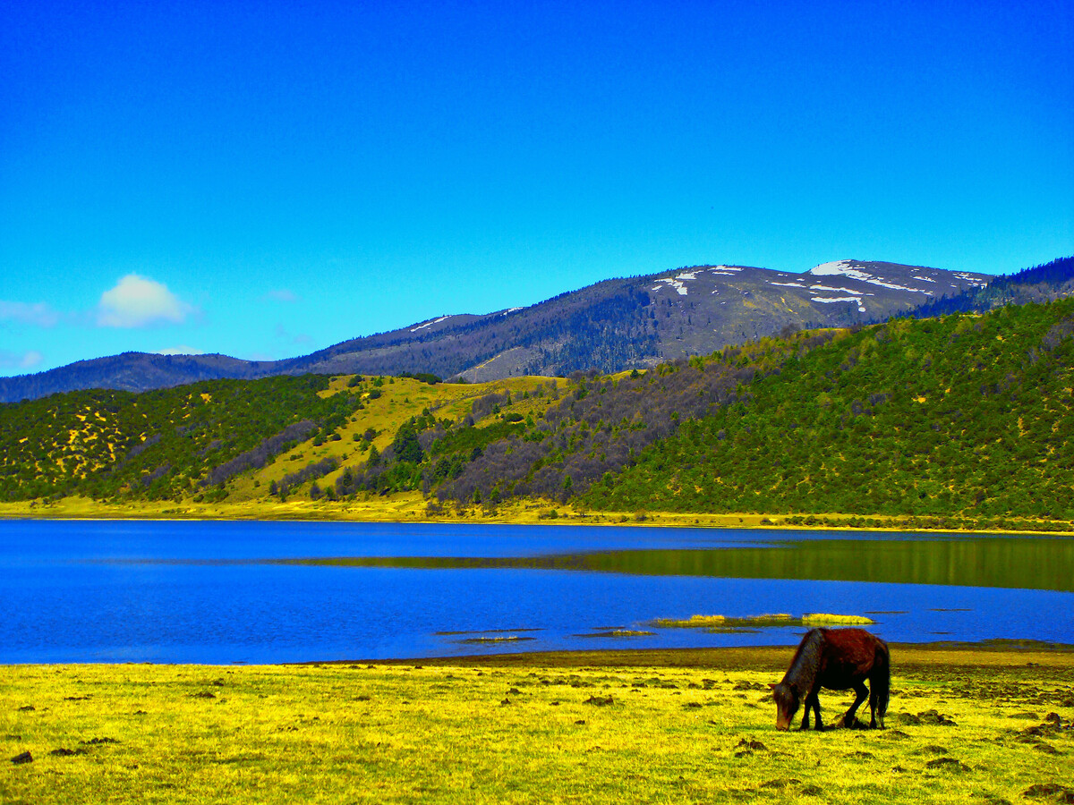 1653633989151799.jpg 536075535.jpg