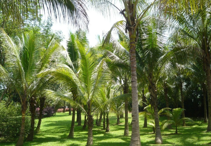 1656496214445182.png d6502fe6d5251383ece1cefb1da1072.png