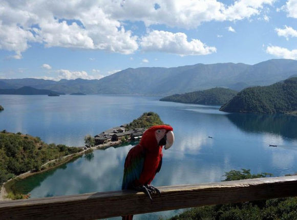 1675914584841622.jpg 泸沽湖观景台.jpg