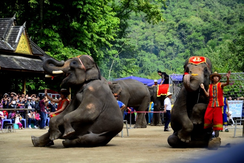 1675925439390693.jpg ab7fff539fef6d9480ddf5e587f3e1ee_8d35a58cf204a5a6ca9630c9ff16c5fe_800x534.jpg