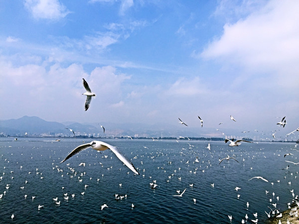 1675926284491013.jpeg a7bee1c60d26a89f0feea50c50e9fb68_mp1707414_1423452463414_4.jpeg