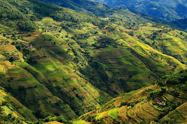 1676271941721208.jpeg d639eaebafff81b0f0f1eb0c01720eba_92dce70c833e458ba10791c7923a1c7e.jpeg