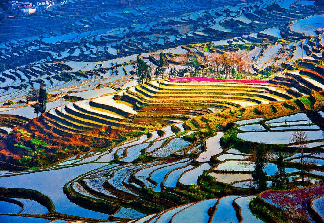 元阳梯田1.jpeg