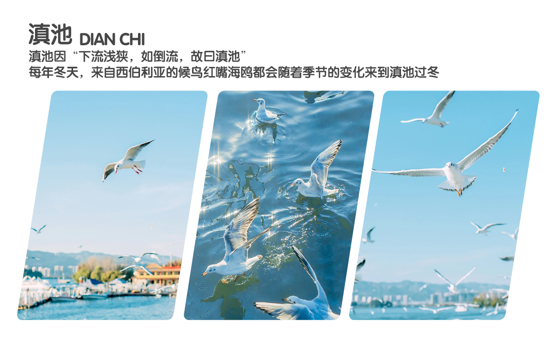 1678348723657308.jpg b1f8e3823af79a1e46a3730817692ad.jpg