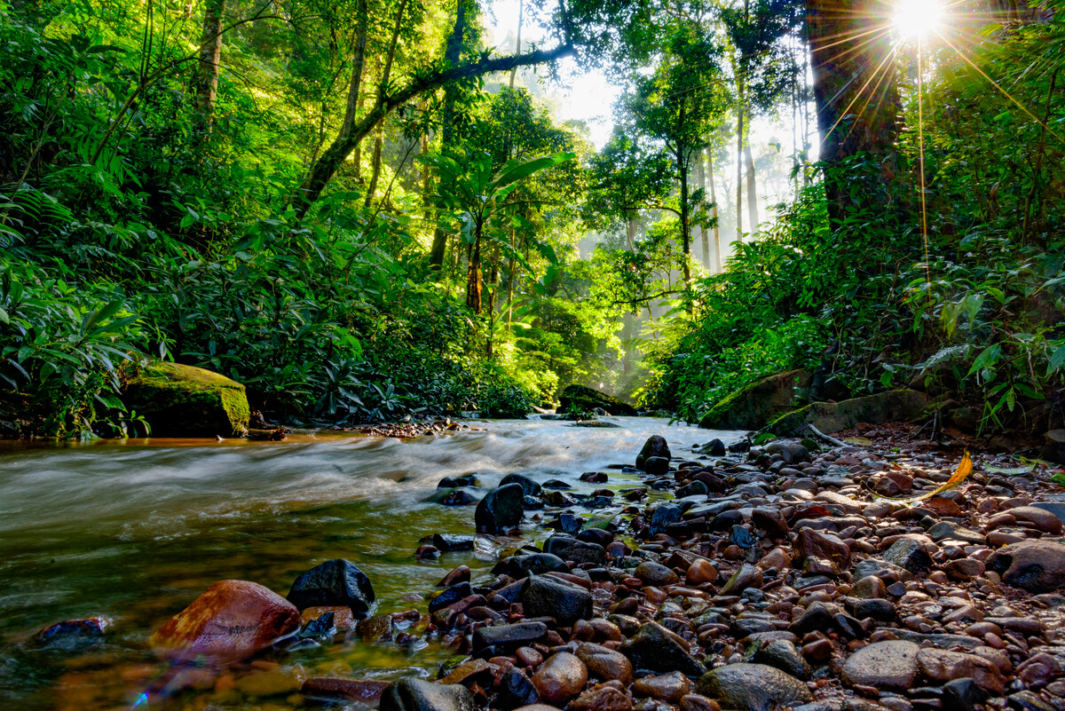 1679555705484597.jpg 97f33e5ede5b1e7e58d6003ed1d893ba_178309062.jpg