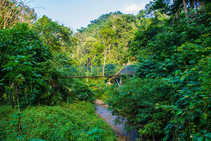 1679555775152581.jpg 0f58d661a34091480ae974723a6c2734_9b651600629cd5b5.jpg_r_720x480x95_fe480172.jpg