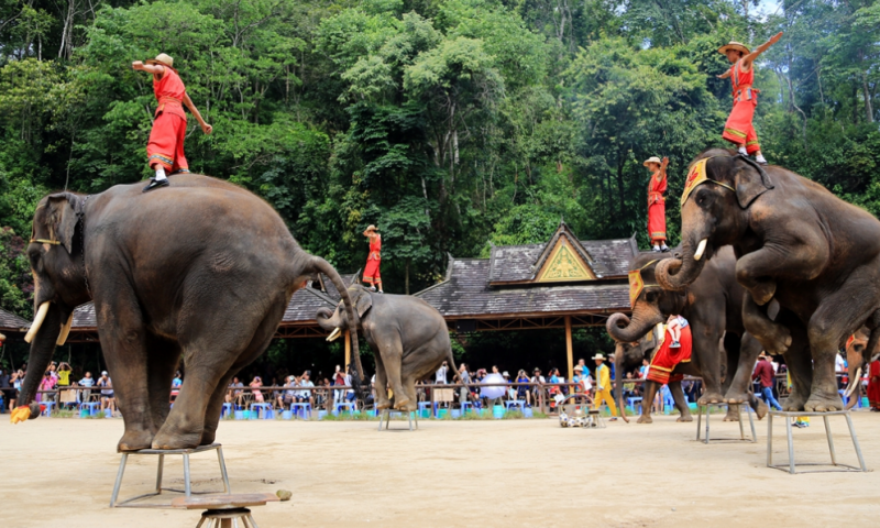 1679555978359313.jpg 5f1db8797db17189b85d47ee13eb5156_thumb_800_480_1587717605kDfn.jpg