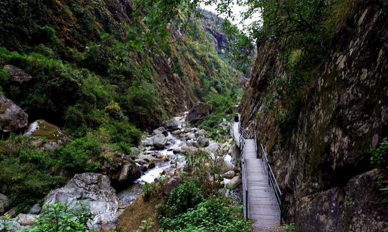 1679556928506299.jpg af29794fbbcfbf4b9030ea4ac5761523_thumb_800_480_a96dc8ee73a5462.jpg