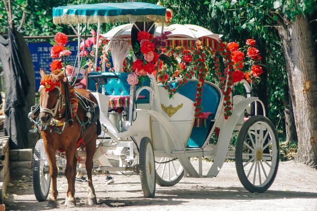 1685592222135727.jpeg 5240371065dda126f3d3a32df641a963_aa18972bd40735faebd5545530f5f7b70e240859_token=110c4e364eac2a3cd36274f242c37600&s=9EB2F1A01482C4FA5C0D390A030010D1.jpeg