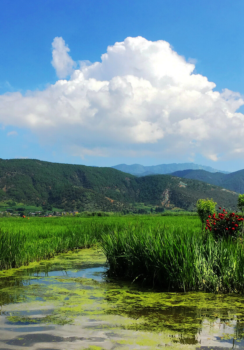 1690447630387968.jpg 6bb04025aa246eab0a181eb2e71f5ef1_318506254.jpg