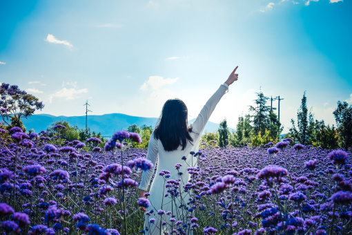 1691894209913173.jpeg e665a910976e4d34f1d34e3e0fdc6c32_wKgBEFtpY_CAe4THANrBb2wma8g13_imageView2%2F2%2Fw%2F510%2Fh%2F8000%2Fq%2F100.jpeg