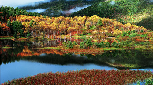 1701223025653426.jpg fc1520ea952cd3ce157d1ae128467bf4_350g080000003avu6FC11_C_500_280_Q80.jpg