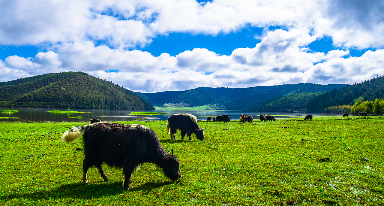 1701223064427202.jpg 6863b65ff9ca9f7e5b8567d852b7244c_sharpen,100.jpg