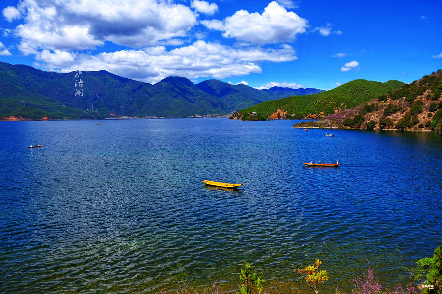 1701251721807311.png image.png