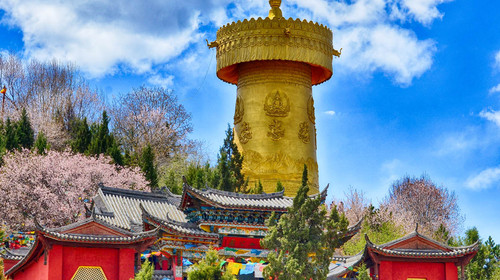 1701252183552599.jpg 131e352f6f6b017eb7cfce2844d15ee5_Cii-TFesEk2IXGaUACBKP_0LIMAAABE1QIoLewAIEpX896_w500_h280_c1_t0.jpg