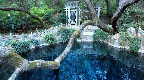 1701327888592391.jpg 34679252d007d5e51287117ddb7d4171_Cii9EVd42U-IeY56ABRvBBAsFuMAAG5owNomGIAFG8c127_w500_h280_c1_t0.jpg