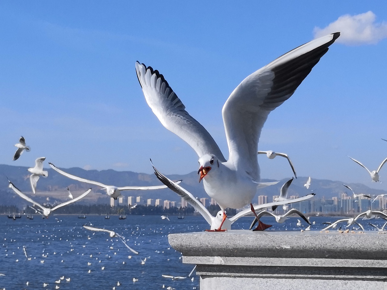 1701762657664830.jpg 0e9f6824e544d17200d411182796e34e_0109605c47ff3fa801213f26491586.jpg@1280w_1l_2o_100sh.jpg