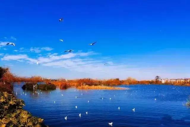 1702971947467924.jpg 42318ffc96eea0f87a1458cce8901a31_832270f5be2d4ef79ccdbdb05204f368_th.jpg